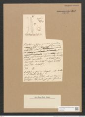 Nitzschia senegalensis Grun. (de-Toni-Nr.: Genus 47, Species 2142) Zeichnungen Sammlung Grunow Nr. 4310 (NHMW-BOT-W0372335)